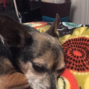 Meet your Posher, Elaine